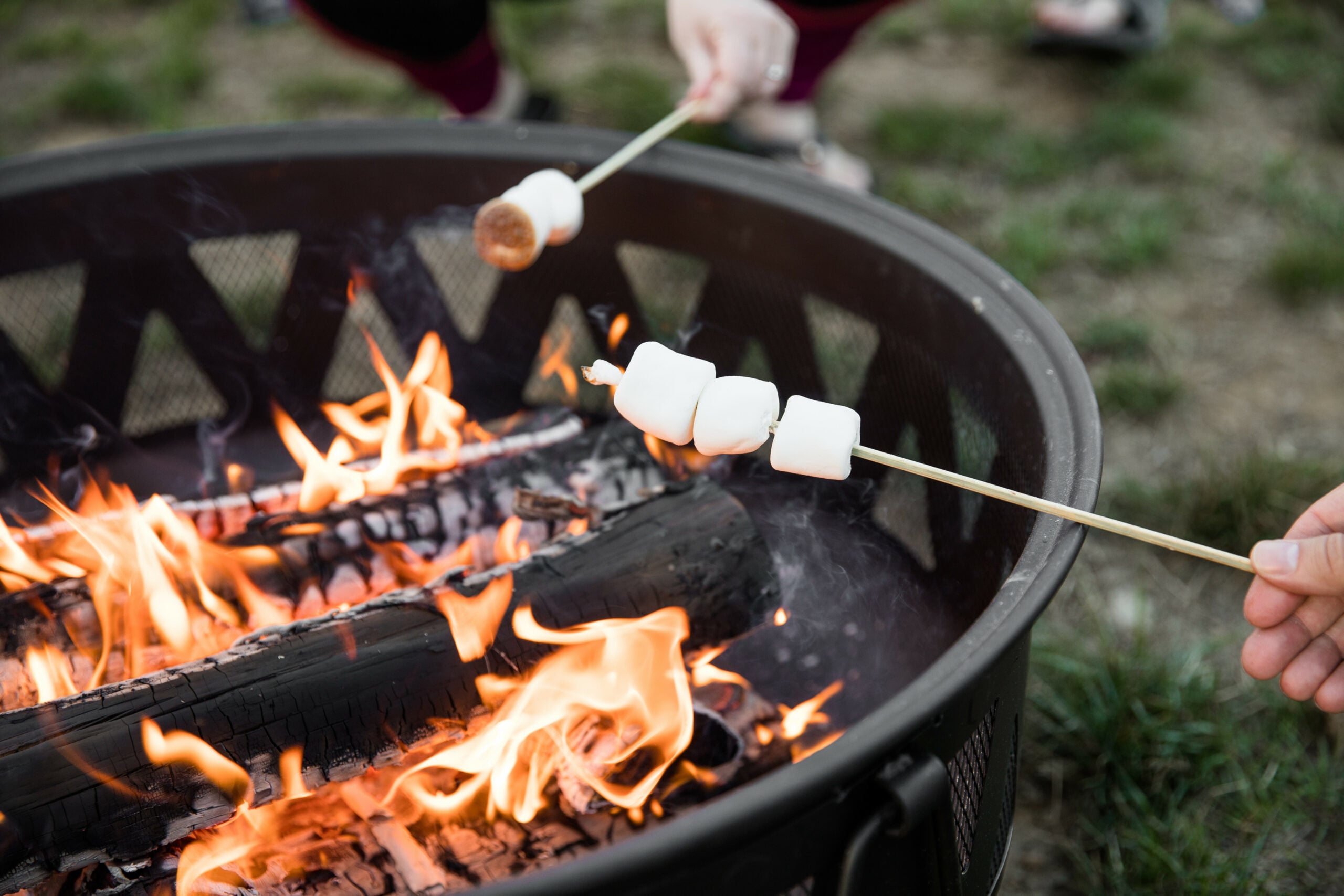 Two people roast marshmallows over a fire pit filled with burning logs. One skewer holds four marshmallows, and the other has a single marshmallow, partially toasted. Grass is visible in the background.
